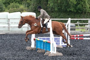 Class 5 - Fences not above 2'6